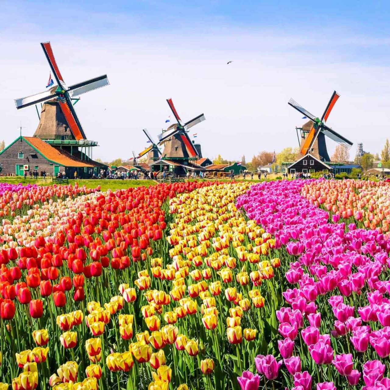 https://dubaiexcursionsguide.com/wp-content/uploads/2018/09/destination-netherlands-01-1280x1280.jpg