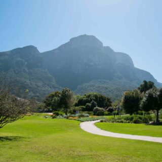 https://dubaiexcursionsguide.com/wp-content/uploads/2018/09/tour-capetown-03-320x320.jpg