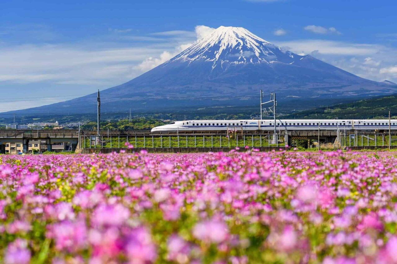 https://dubaiexcursionsguide.com/wp-content/uploads/2018/09/tour-osaka-04-1280x854.jpg